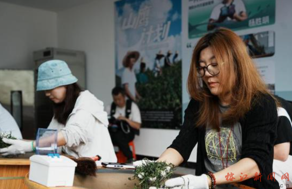 贵州深山苗寨的“物尽其用”之道